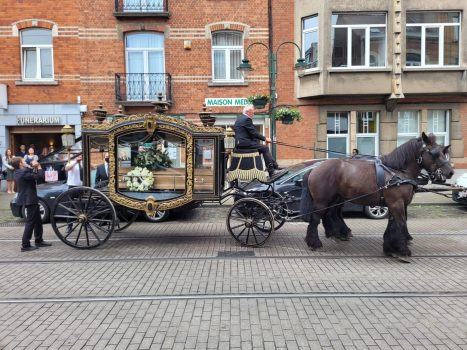 Hippomobile à Bruxelles 02