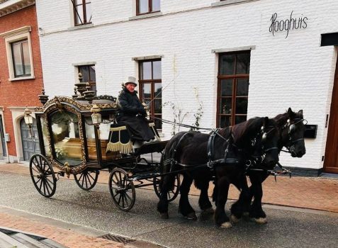 Hippomobile à Bruxelles